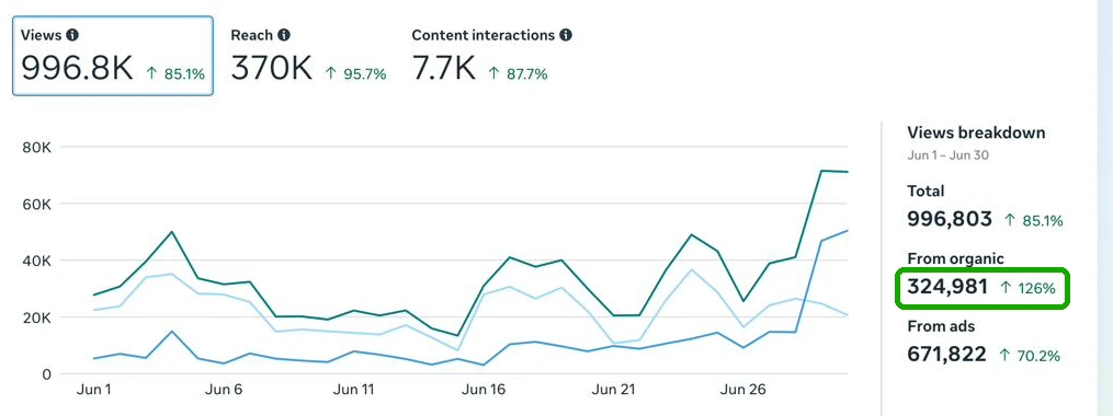 Meta Business Suite screenshot documenting paid Instagram views.